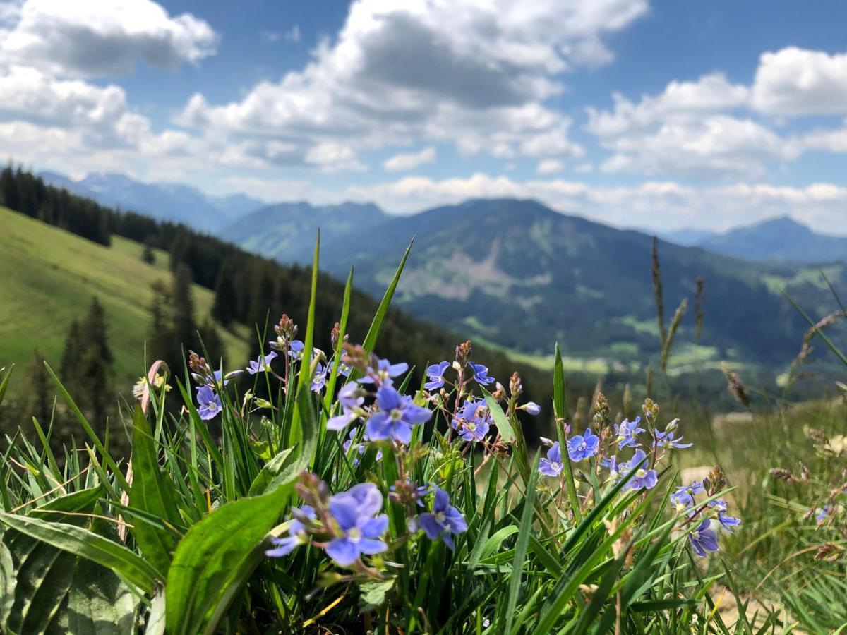 Bergquell Tirol Apartment ยุงโฮล์ซ ภายนอก รูปภาพ
