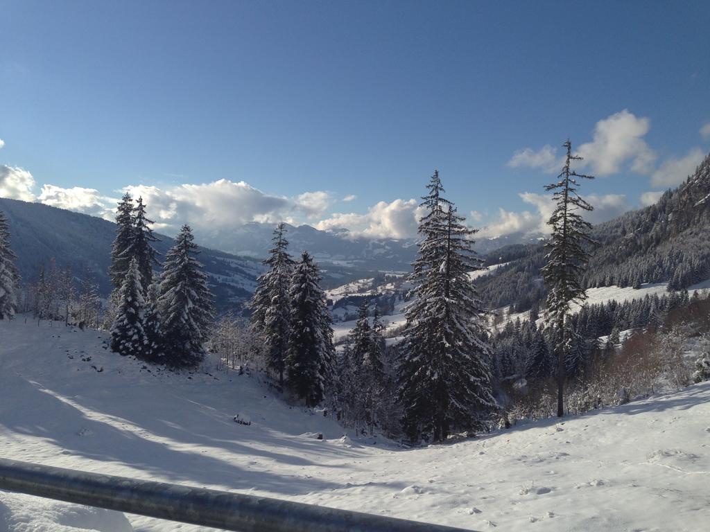 Bergquell Tirol Apartment ยุงโฮล์ซ ภายนอก รูปภาพ
