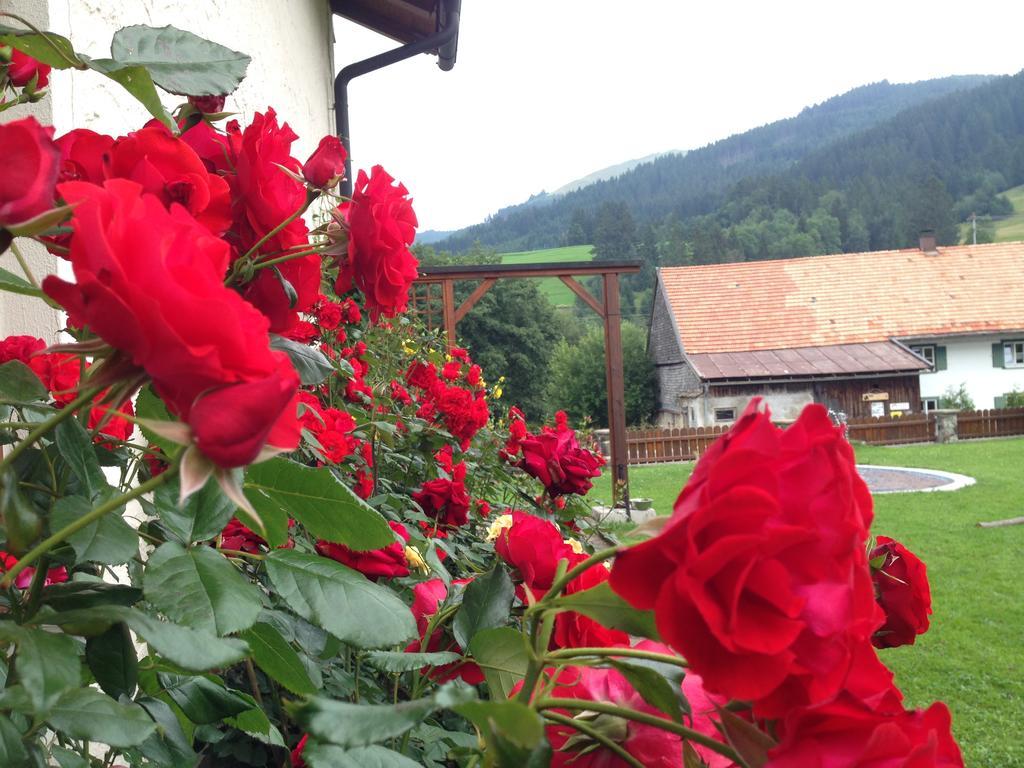 Bergquell Tirol Apartment ยุงโฮล์ซ ภายนอก รูปภาพ